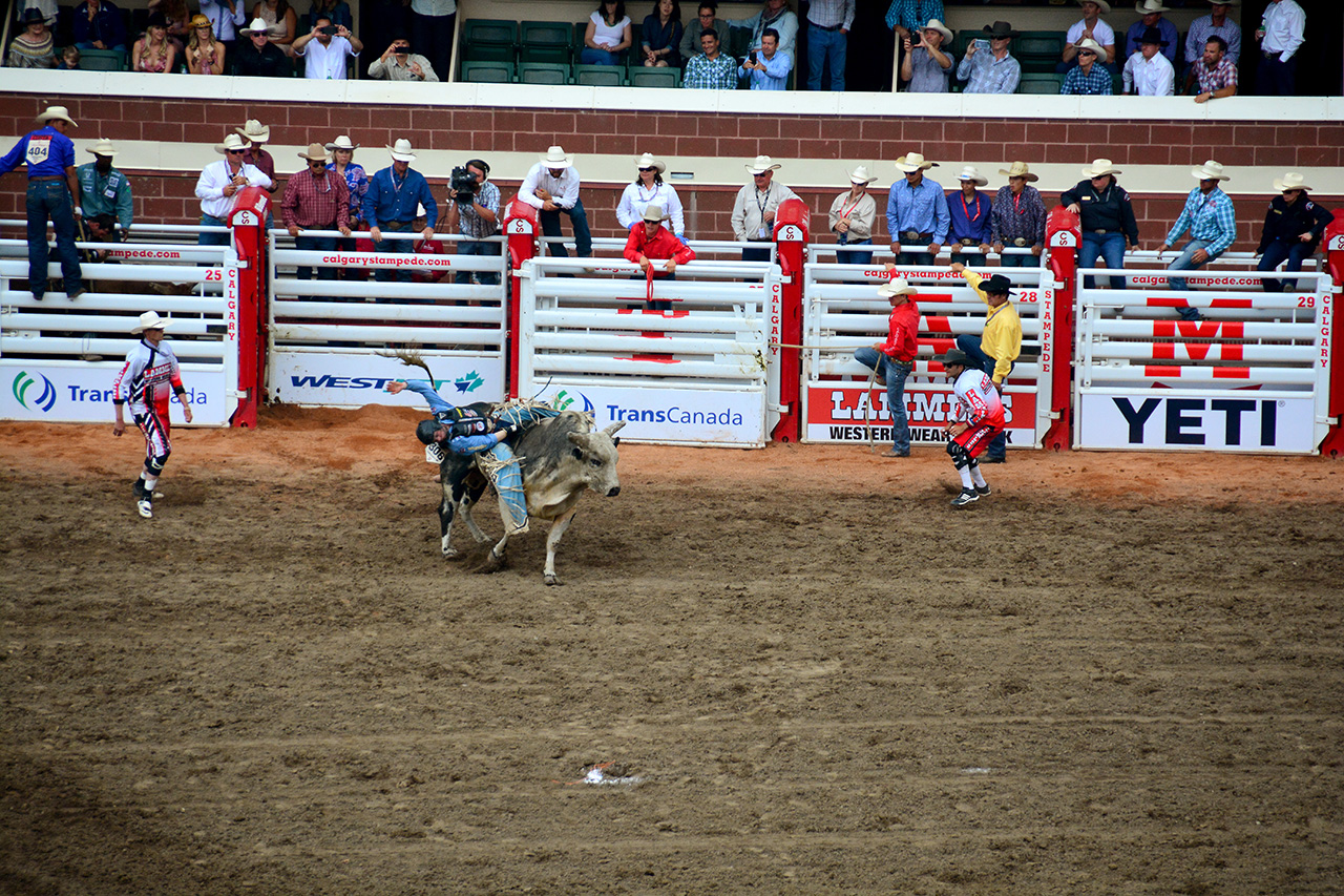 2017-07-10, 380, Calgary Stampede, AB, Bull Riding