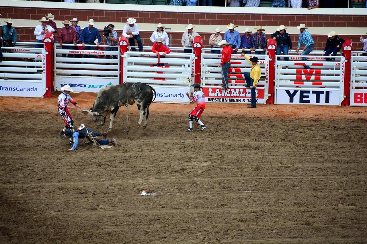 2017-07-10, 382, Calgary Stampede, AB, Bull Riding
