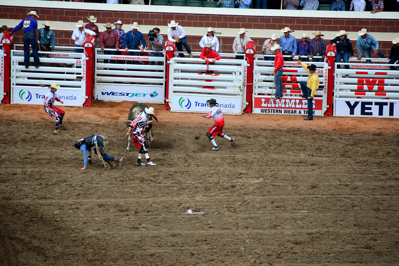 2017-07-10, 383, Calgary Stampede, AB, Bull Riding