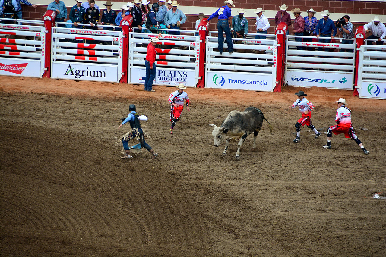 2017-07-10, 384, Calgary Stampede, AB, Bull Riding