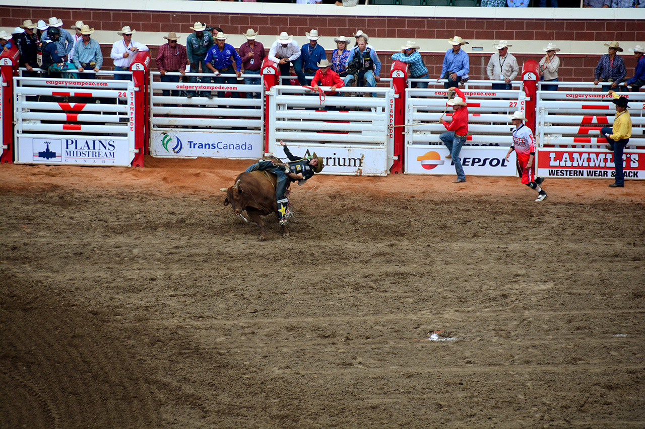 2017-07-10, 390, Calgary Stampede, AB, Bull Riding