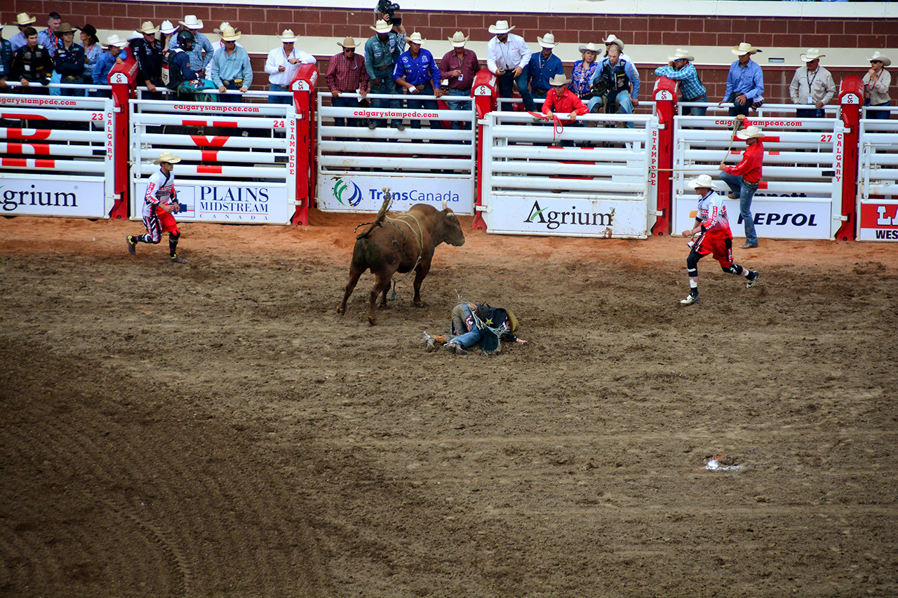 2017-07-10, 391, Calgary Stampede, AB, Bull Riding