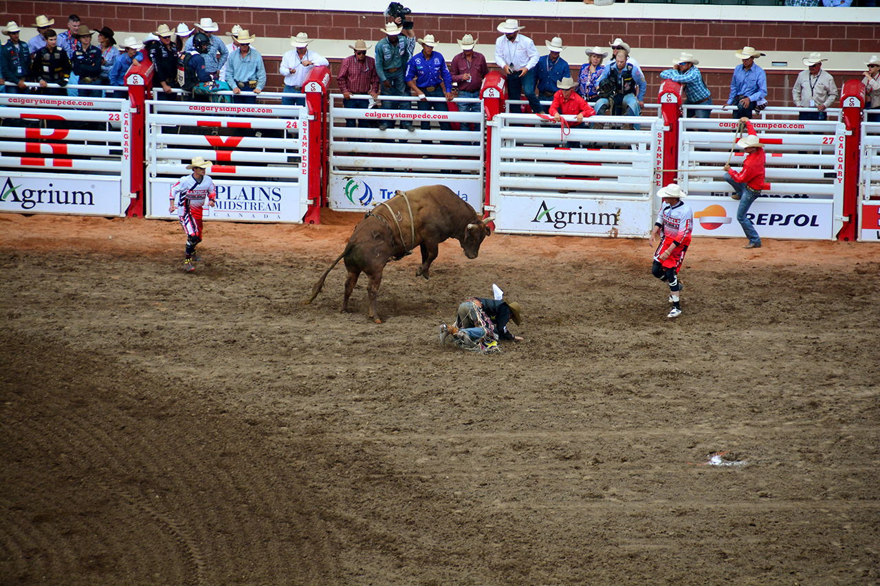 2017-07-10, 392, Calgary Stampede, AB, Bull Riding