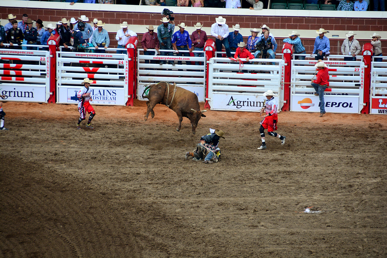 2017-07-10, 393, Calgary Stampede, AB, Bull Riding
