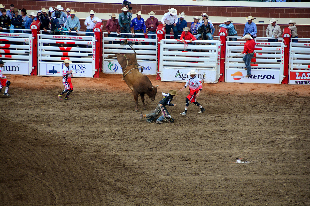 2017-07-10, 394, Calgary Stampede, AB, Bull Riding
