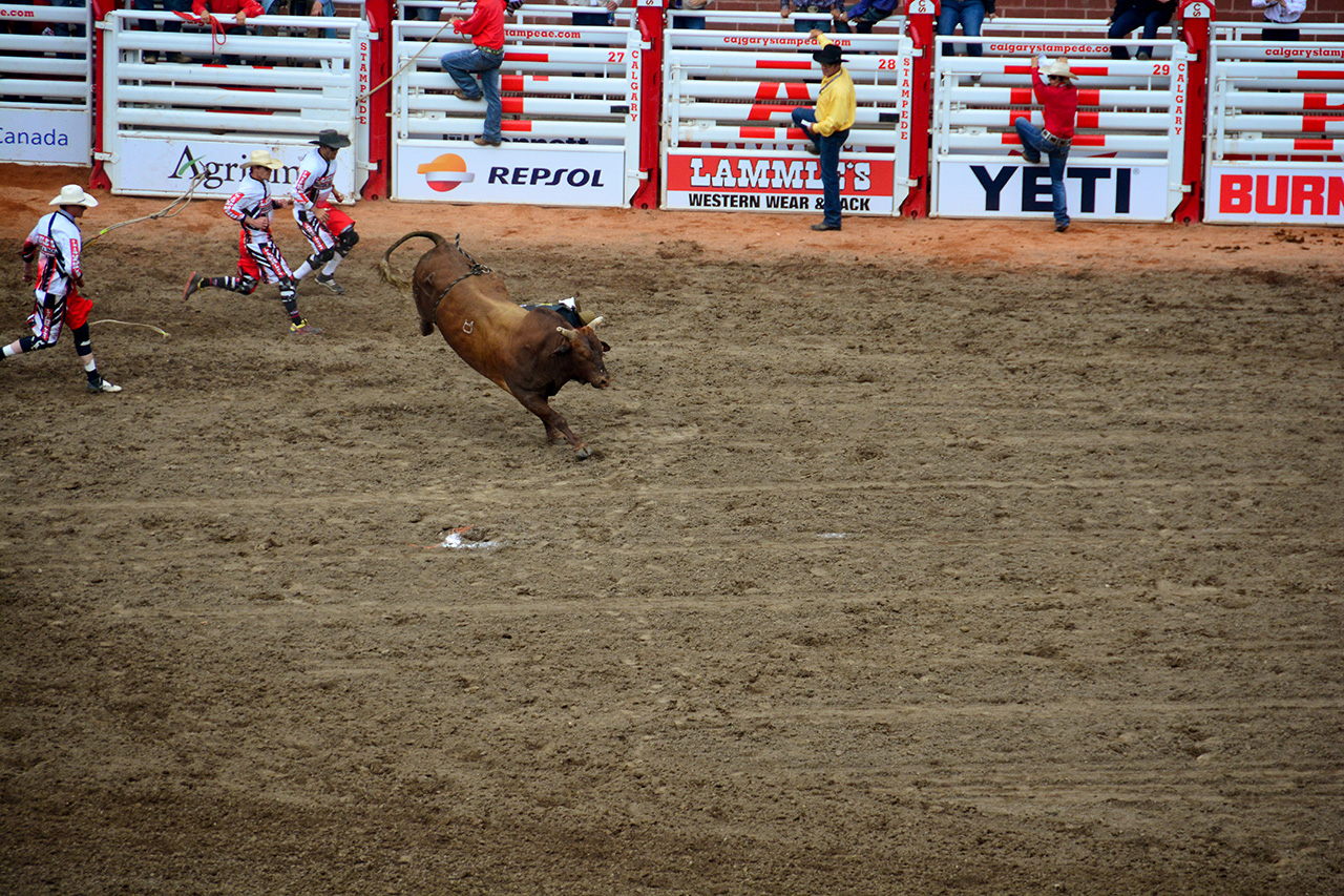 2017-07-10, 398, Calgary Stampede, AB, Bull Riding