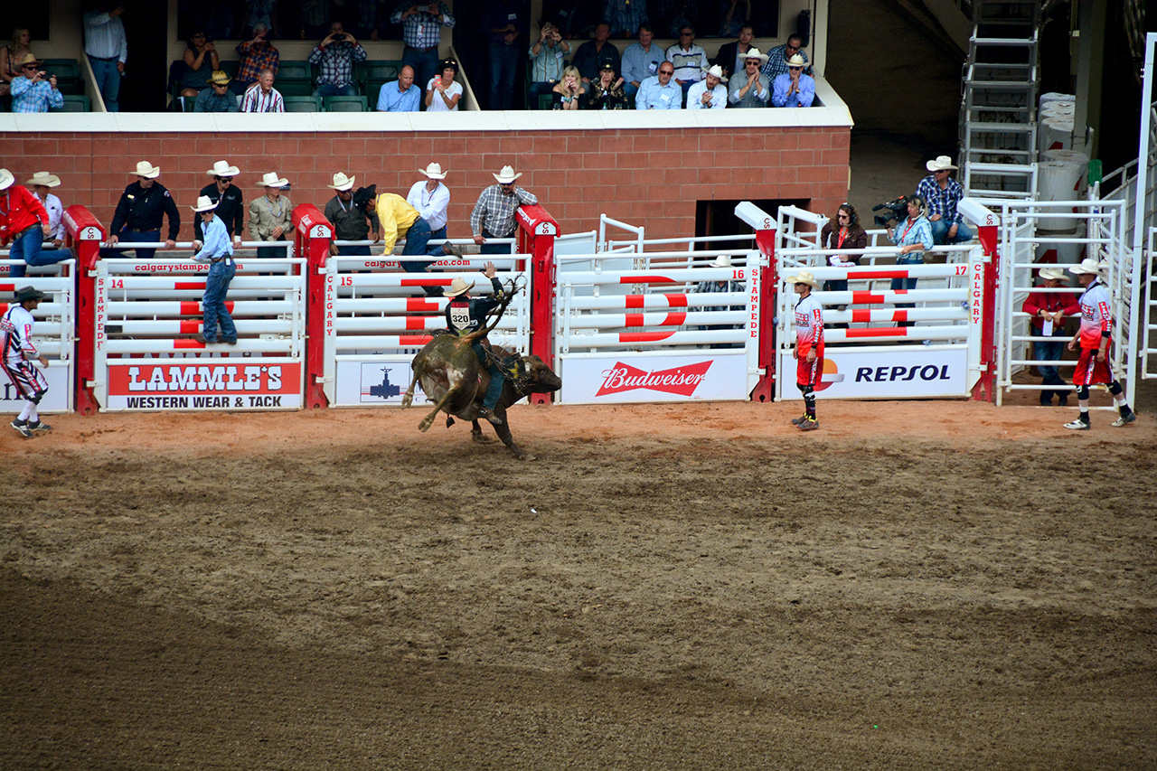 2017-07-10, 400, Calgary Stampede, AB, Bull Riding