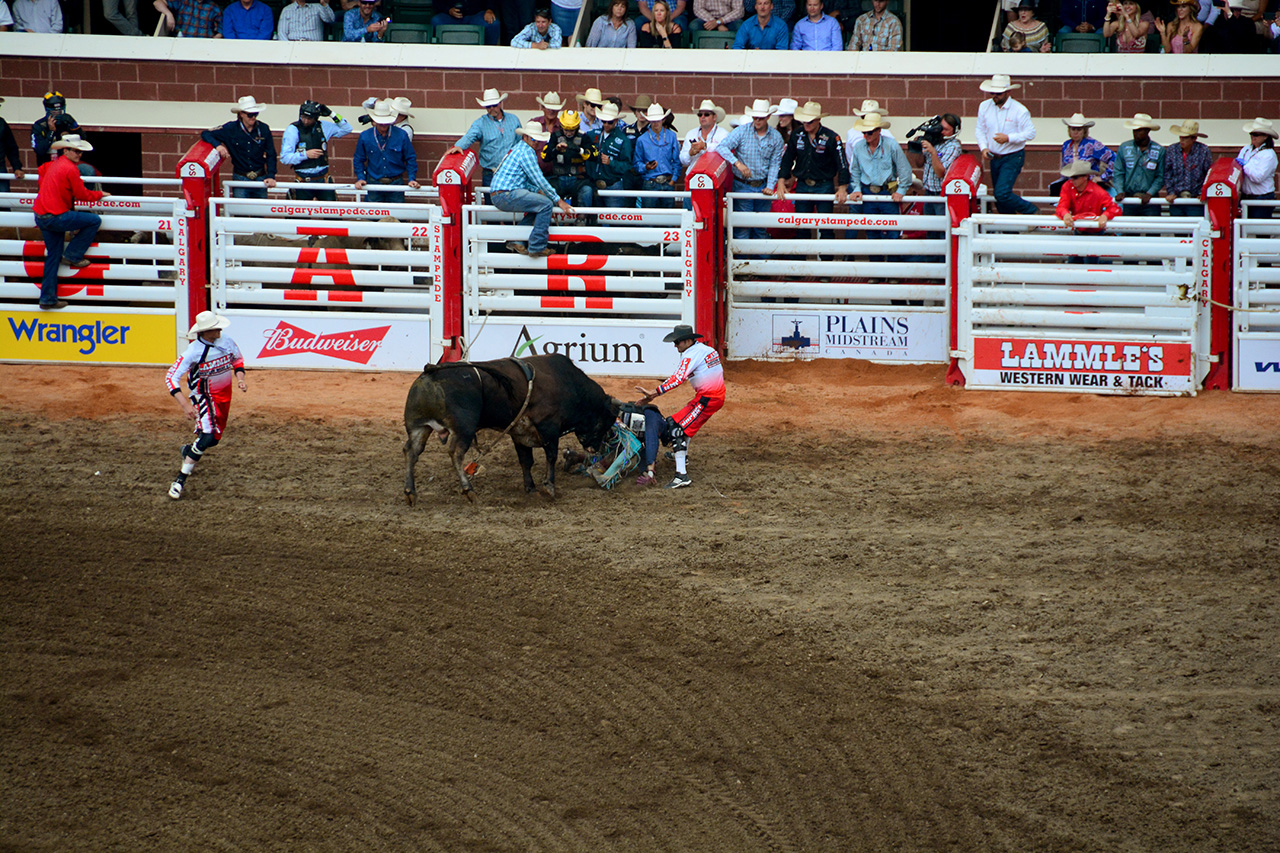 2017-07-10, 404, Calgary Stampede, AB, Bull Riding