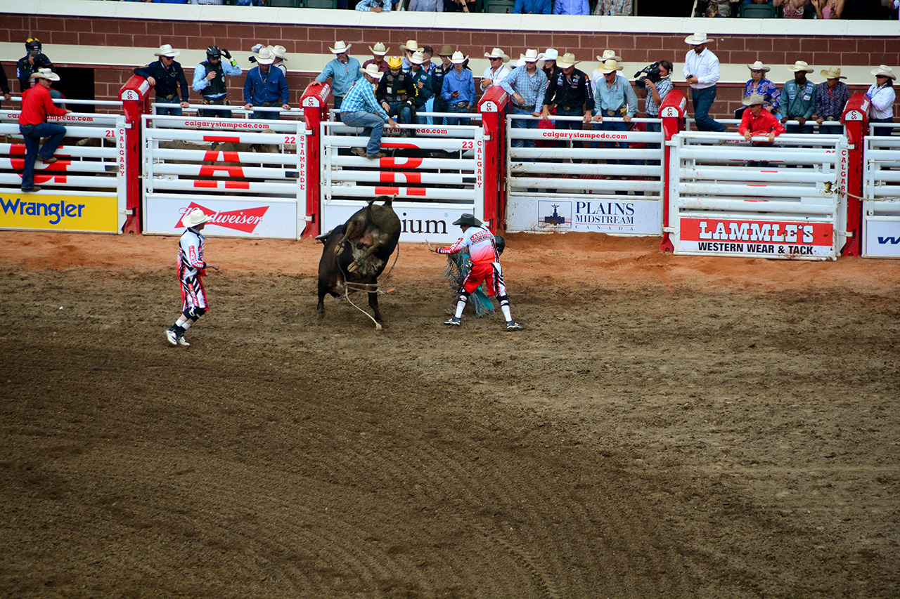 2017-07-10, 406, Calgary Stampede, AB, Bull Riding