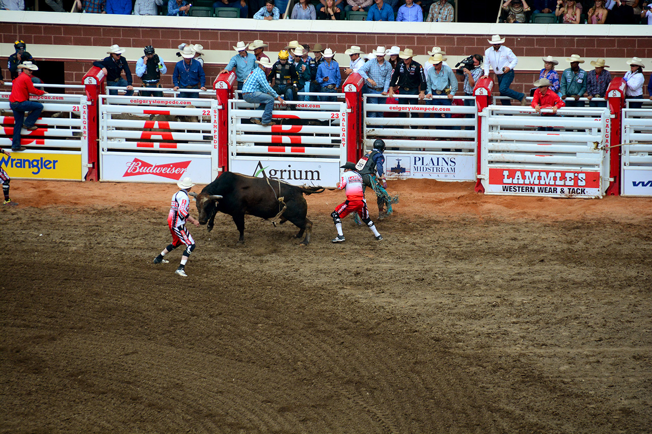 2017-07-10, 407, Calgary Stampede, AB, Bull Riding