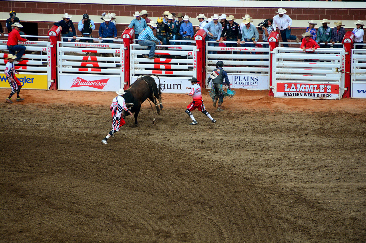 2017-07-10, 408, Calgary Stampede, AB, Bull Riding