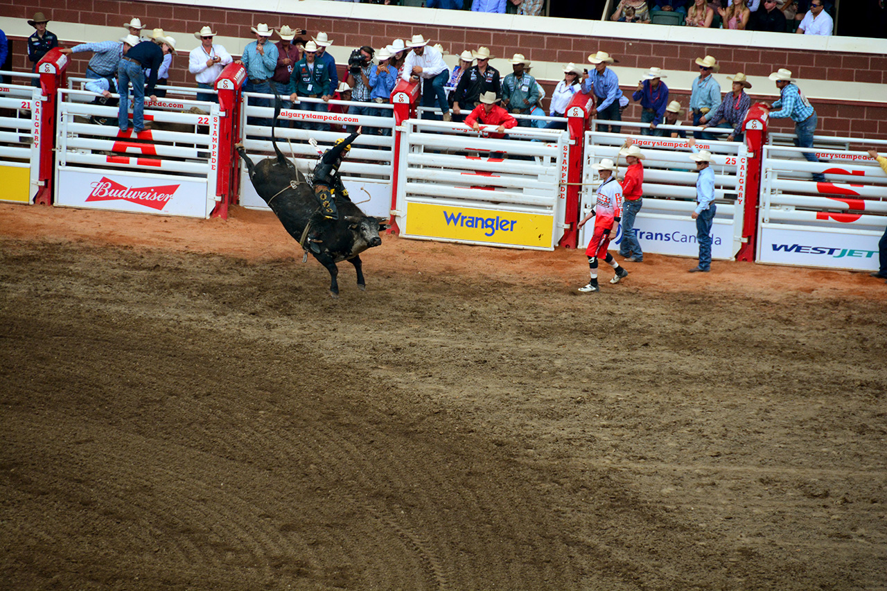 2017-07-10, 410, Calgary Stampede, AB, Bull Riding
