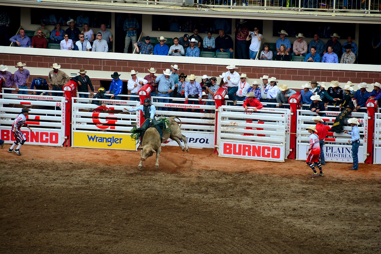 2017-07-10, 414, Calgary Stampede, AB, Bull Riding