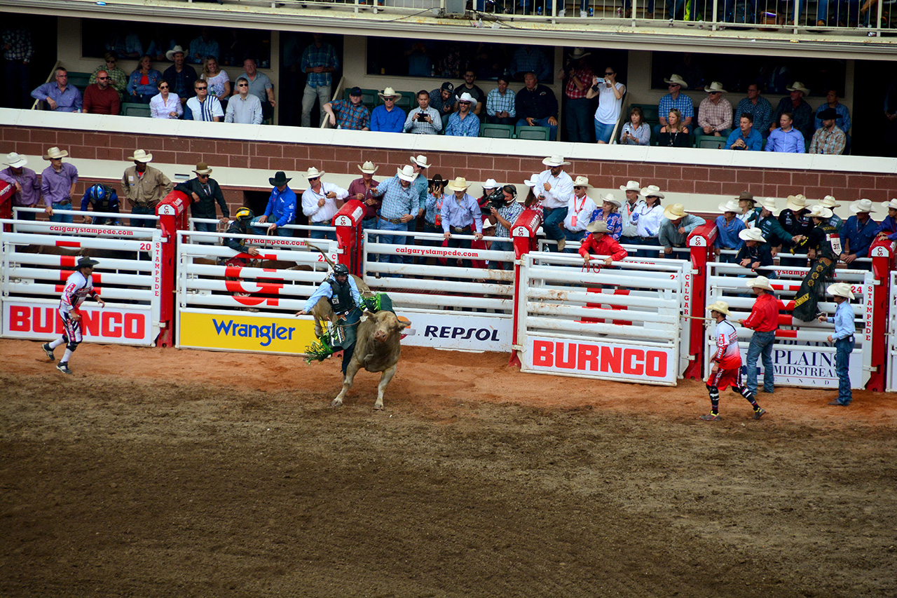2017-07-10, 415, Calgary Stampede, AB, Bull Riding