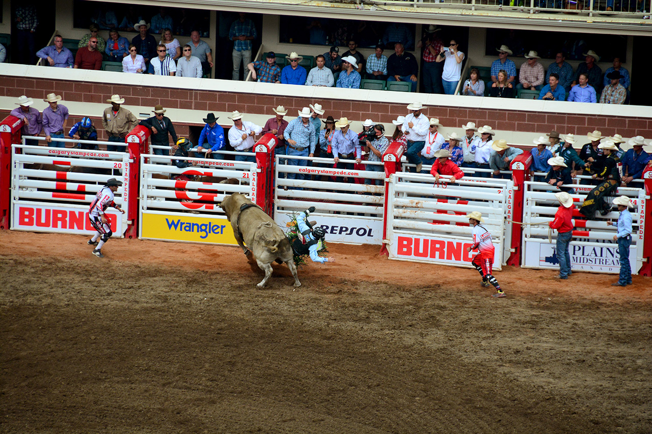 2017-07-10, 416, Calgary Stampede, AB, Bull Riding