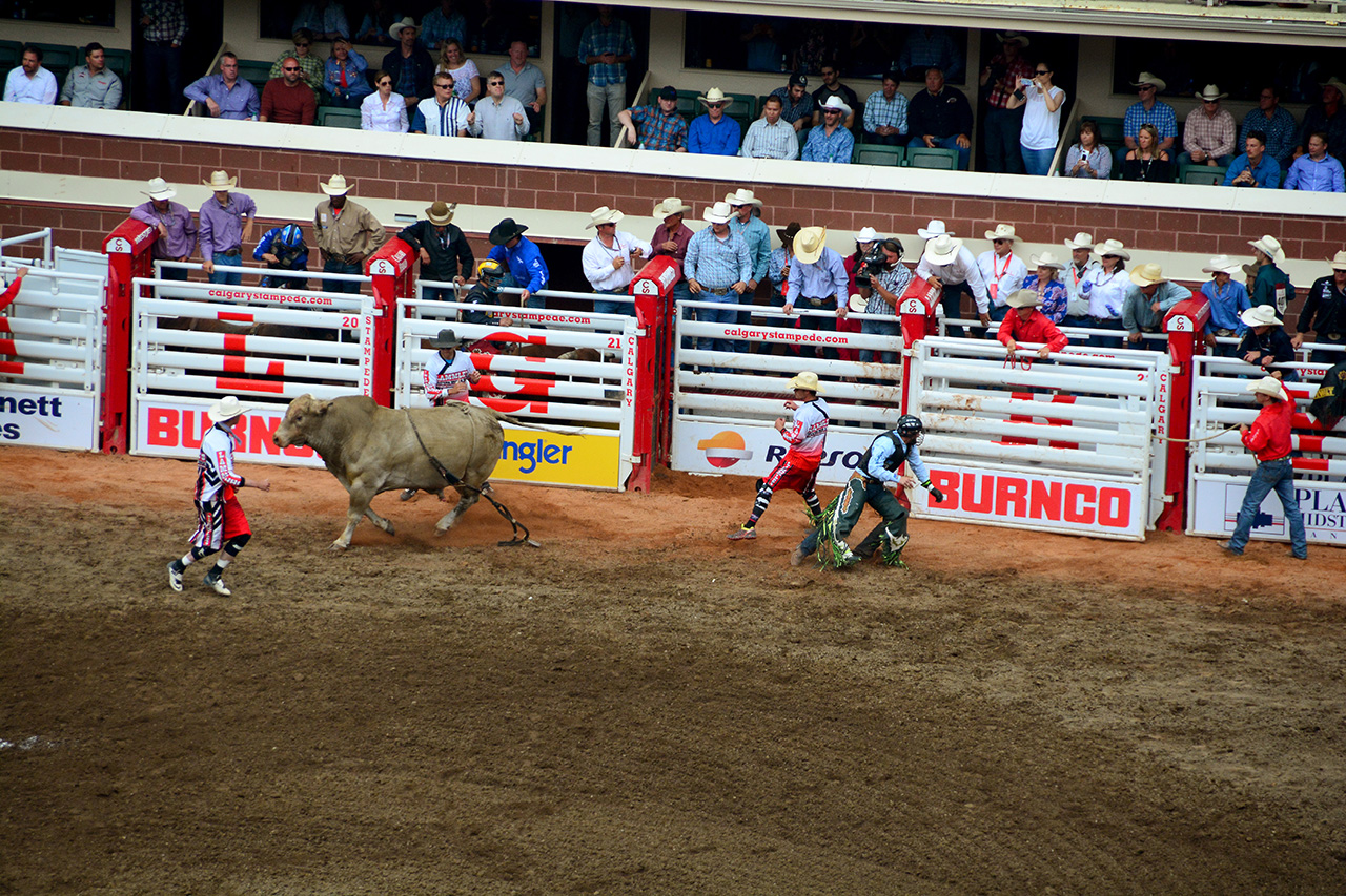2017-07-10, 418, Calgary Stampede, AB, Bull Riding