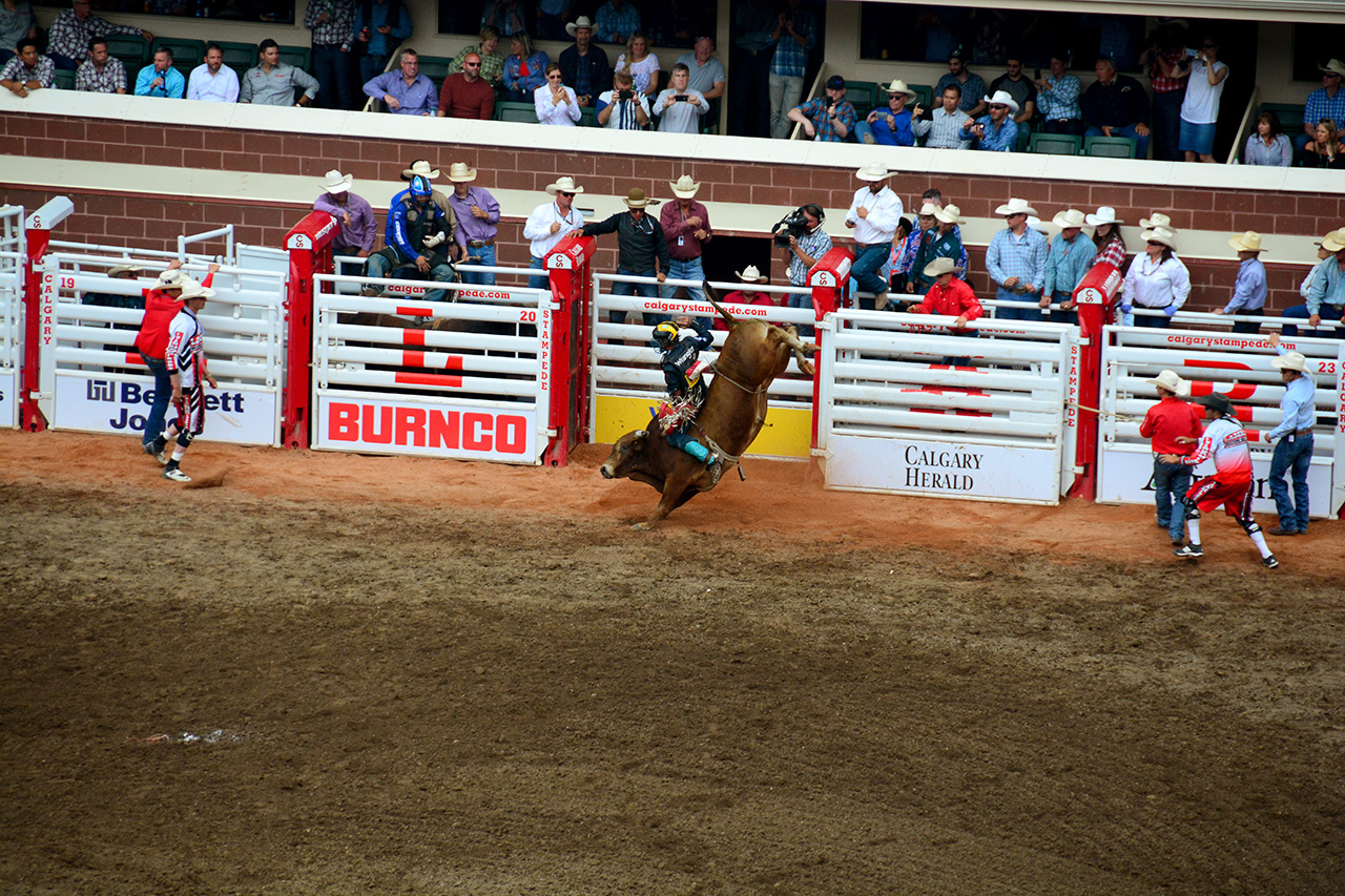 2017-07-10, 420, Calgary Stampede, AB, Bull Riding