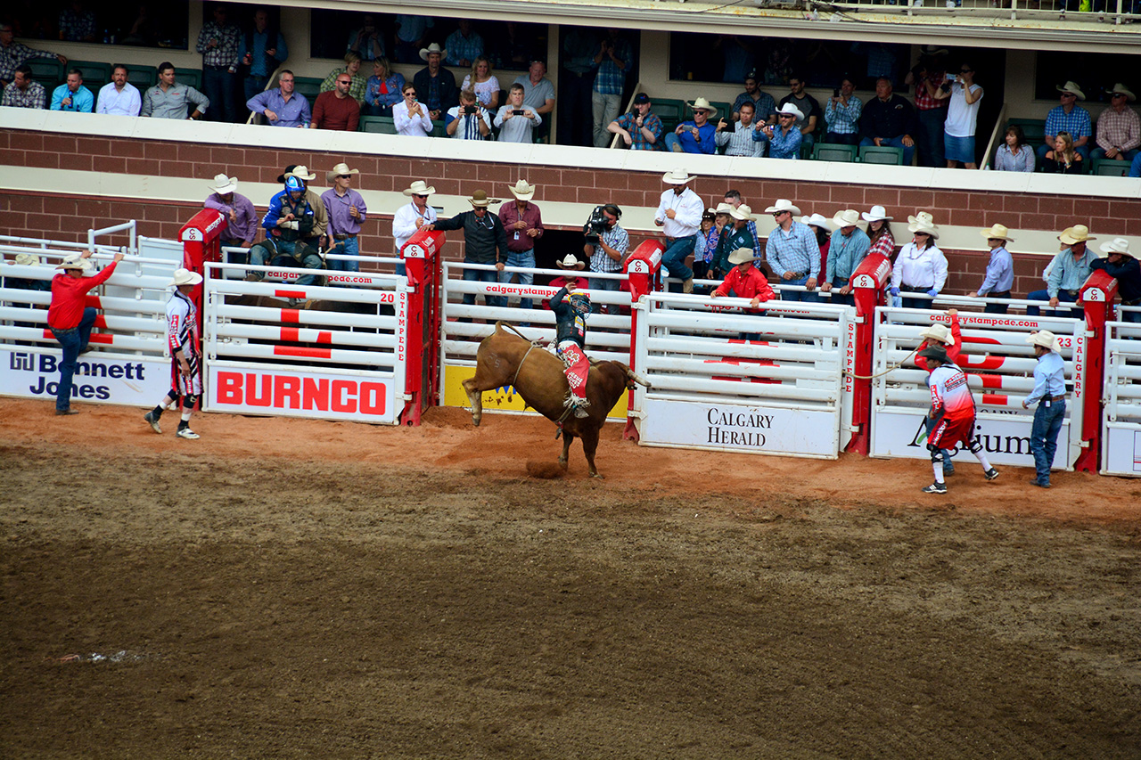 2017-07-10, 422, Calgary Stampede, AB, Bull Riding