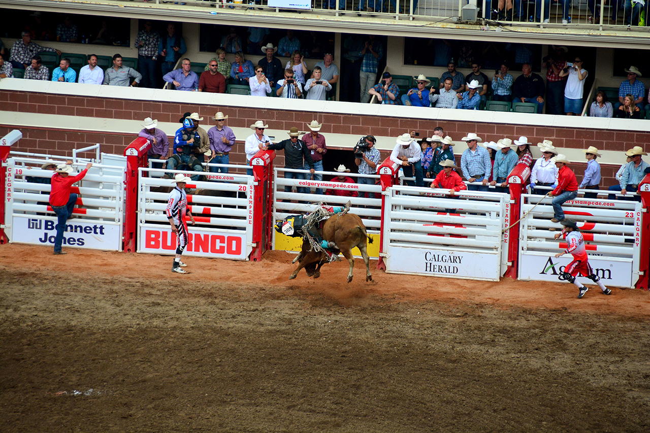 2017-07-10, 423, Calgary Stampede, AB, Bull Riding