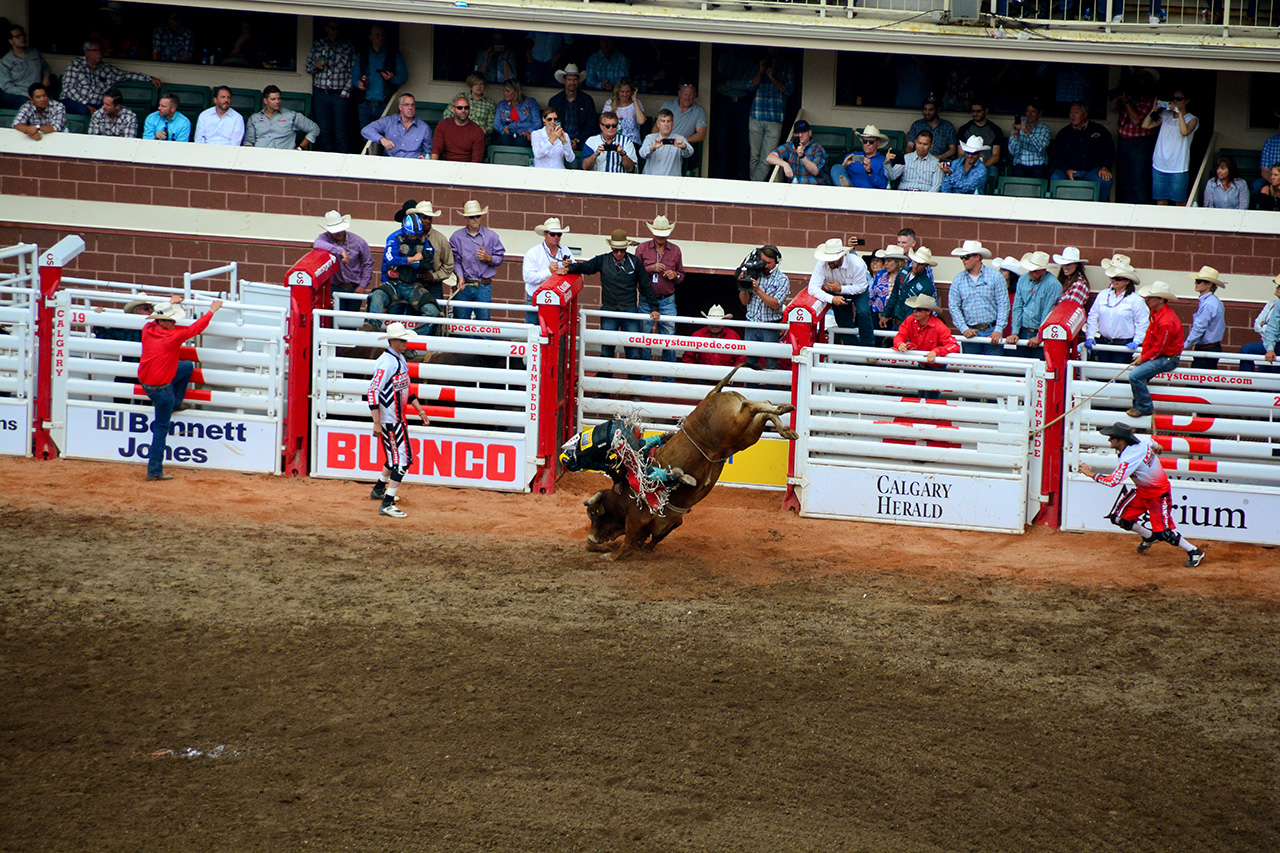 2017-07-10, 424, Calgary Stampede, AB, Bull Riding