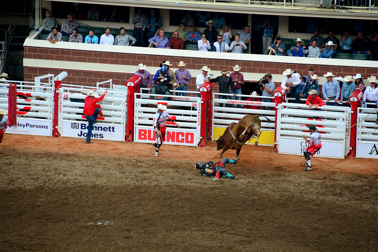 2017-07-10, 425, Calgary Stampede, AB, Bull Riding