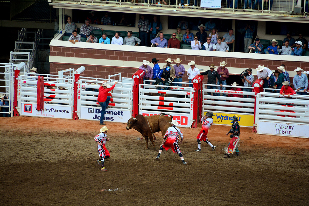 2017-07-10, 427, Calgary Stampede, AB, Bull Riding