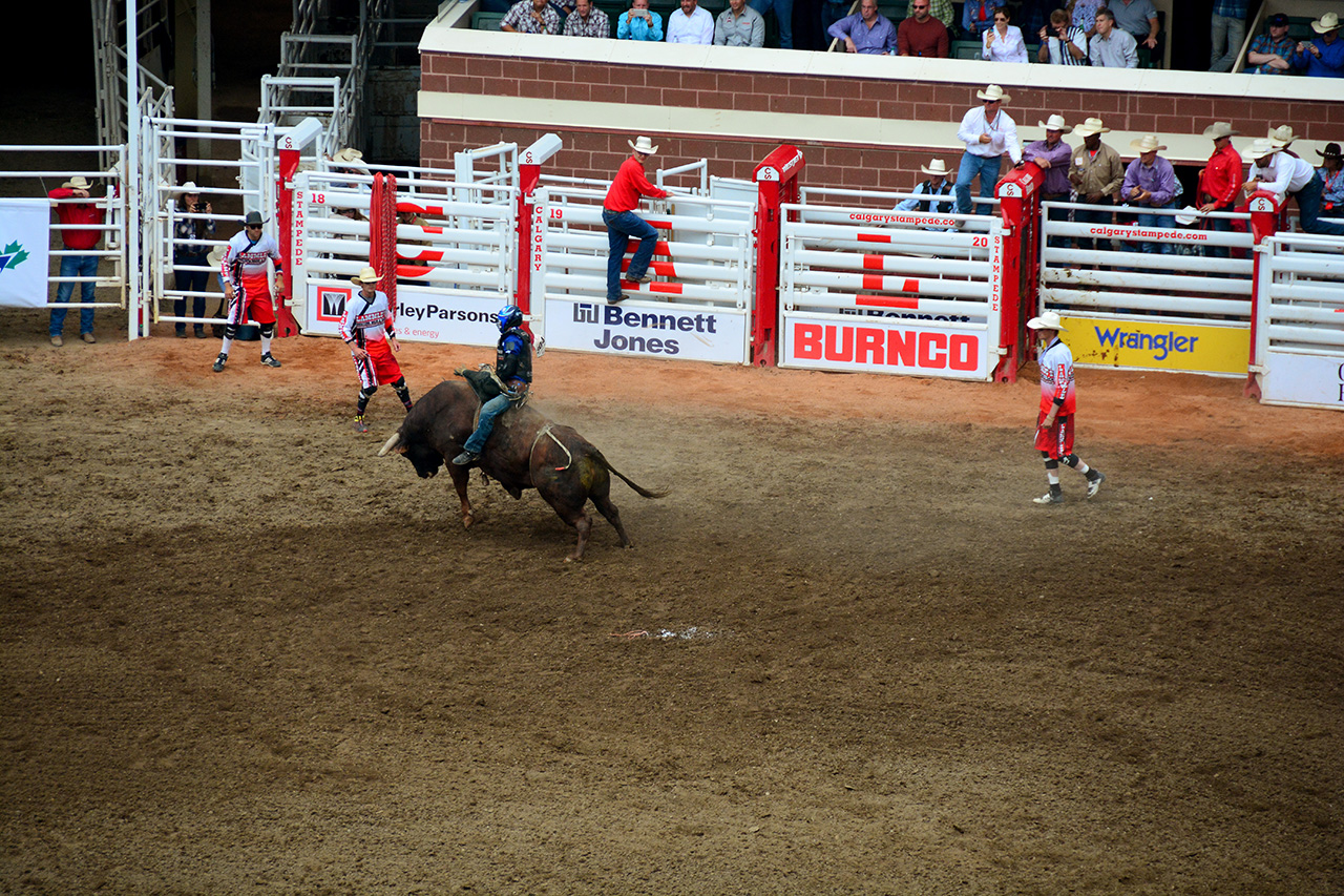 2017-07-10, 429, Calgary Stampede, AB, Bull Riding