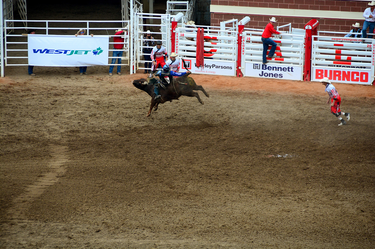 2017-07-10, 431, Calgary Stampede, AB, Bull Riding