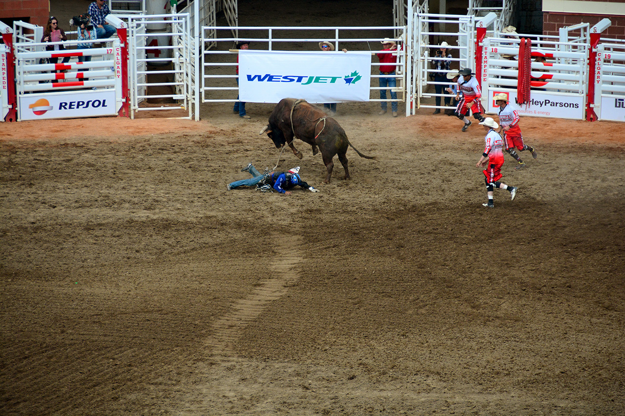 2017-07-10, 435, Calgary Stampede, AB, Bull Riding