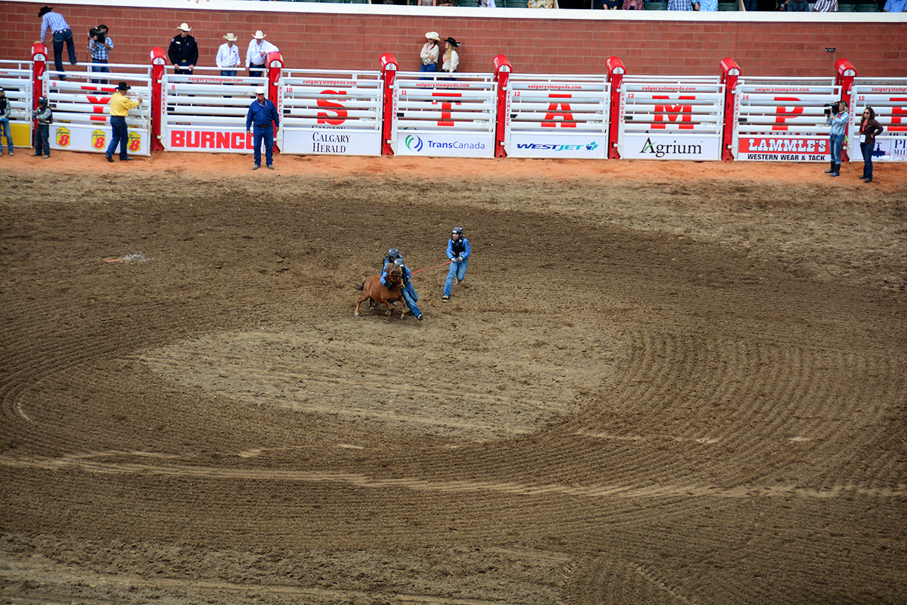 2017-07-10, 437, Calgary Stampede, AB, Youth Wild Pony
