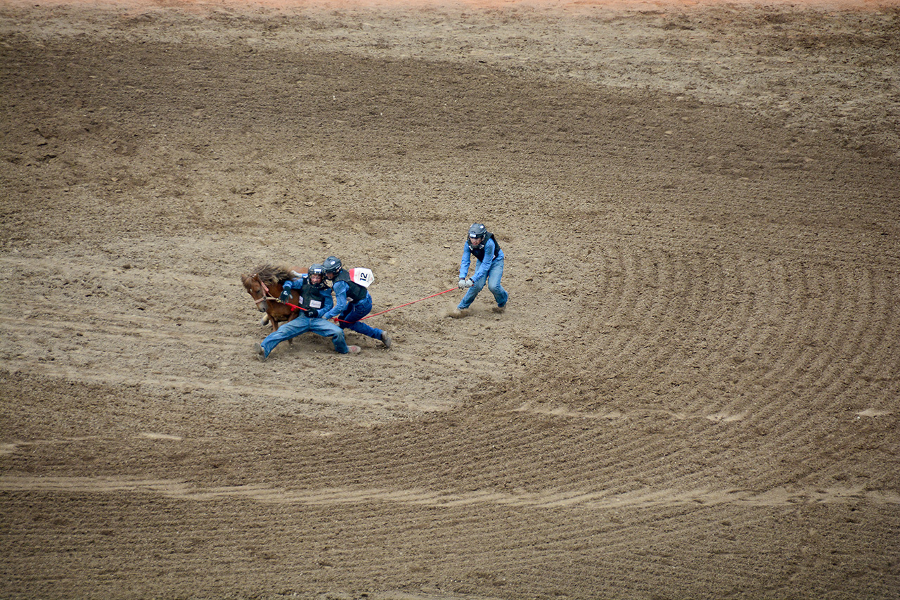 2017-07-10, 438, Calgary Stampede, AB, Youth Wild Pony