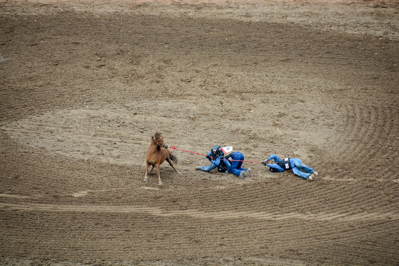 2017-07-10, 439, Calgary Stampede, AB, Youth Wild Pony
