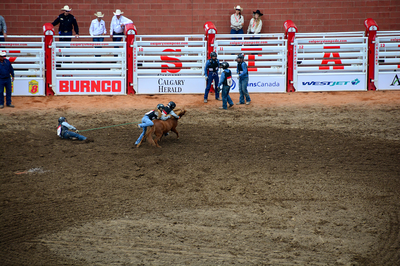 2017-07-10, 442, Calgary Stampede, AB, Youth Wild Pony
