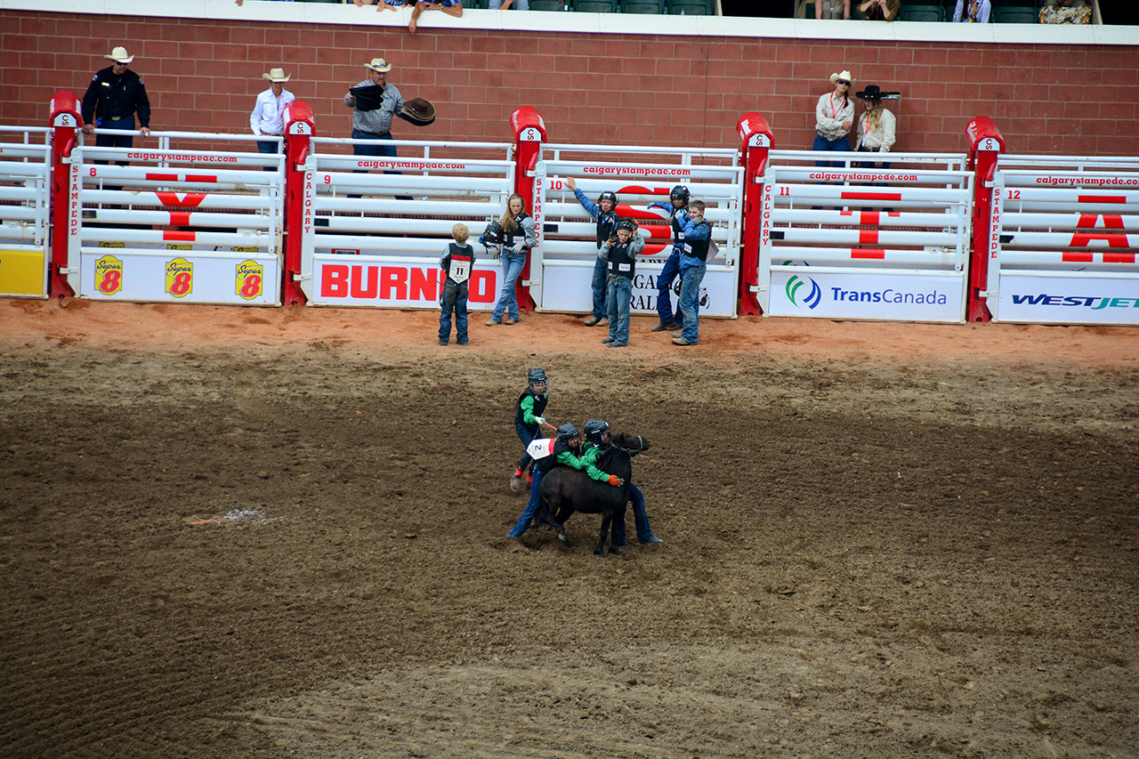 2017-07-10, 450, Calgary Stampede, AB, Youth Wild Pony