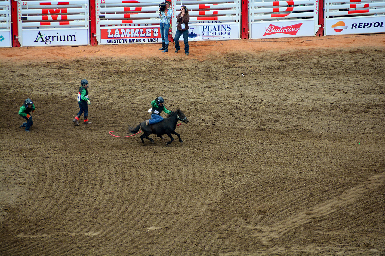 2017-07-10, 458, Calgary Stampede, AB, Youth Wild Pony