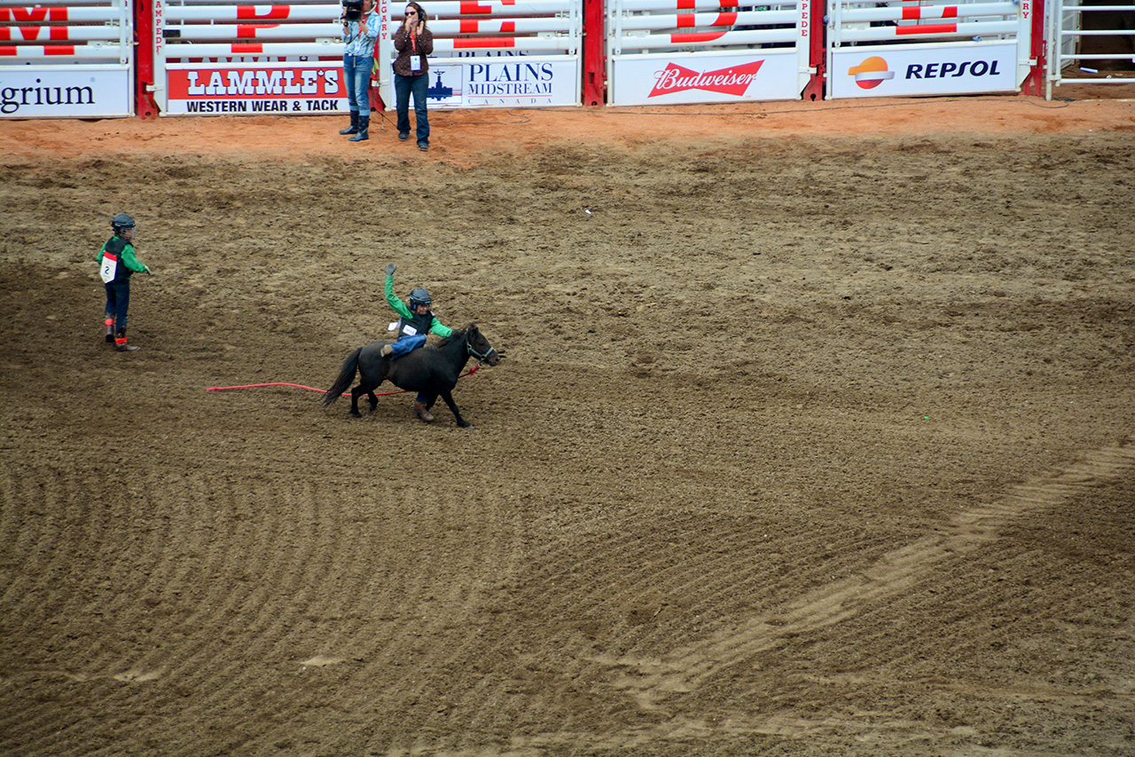 2017-07-10, 459, Calgary Stampede, AB, Youth Wild Pony