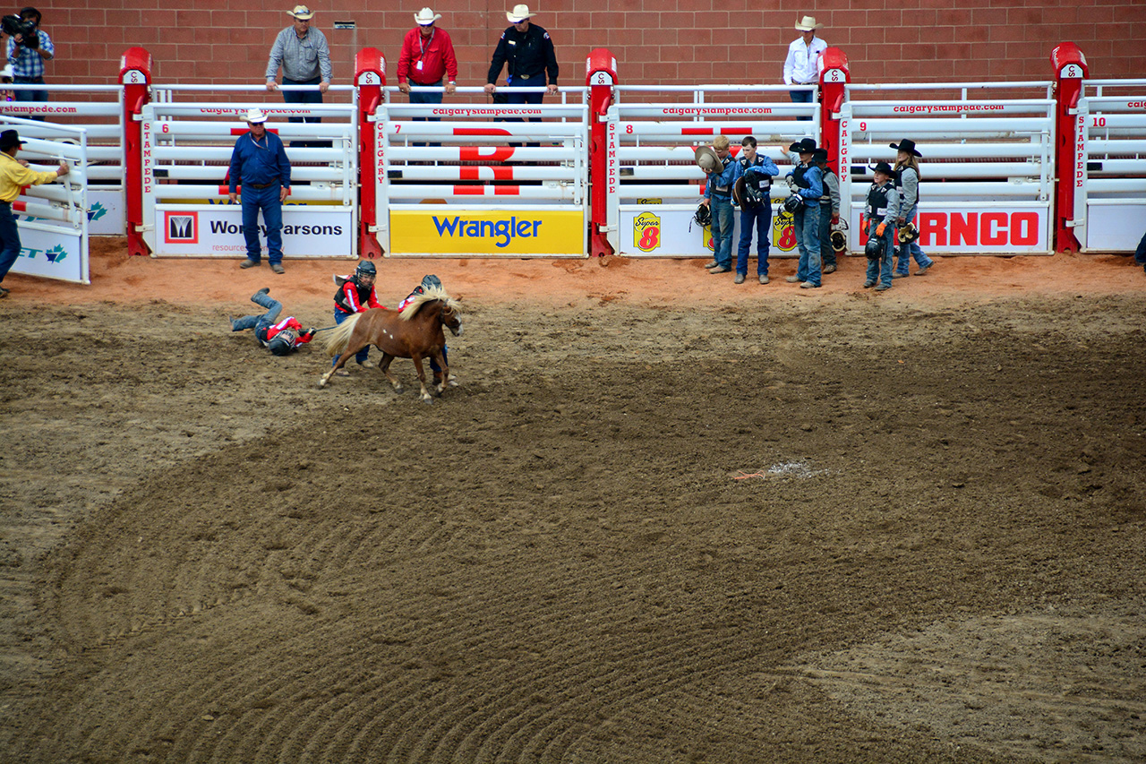 2017-07-10, 462, Calgary Stampede, AB, Youth Wild Pony