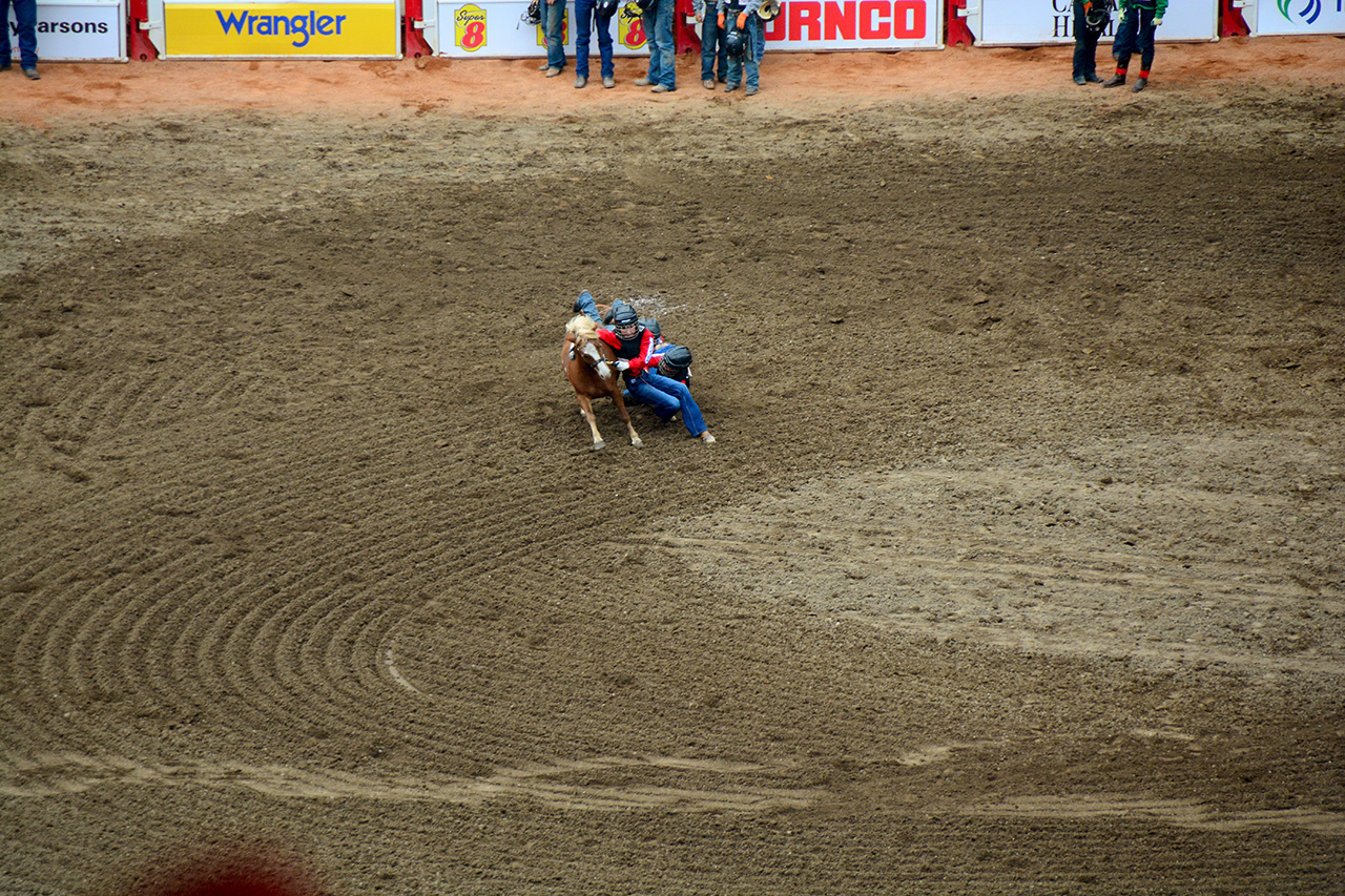 2017-07-10, 464, Calgary Stampede, AB, Youth Wild Pony