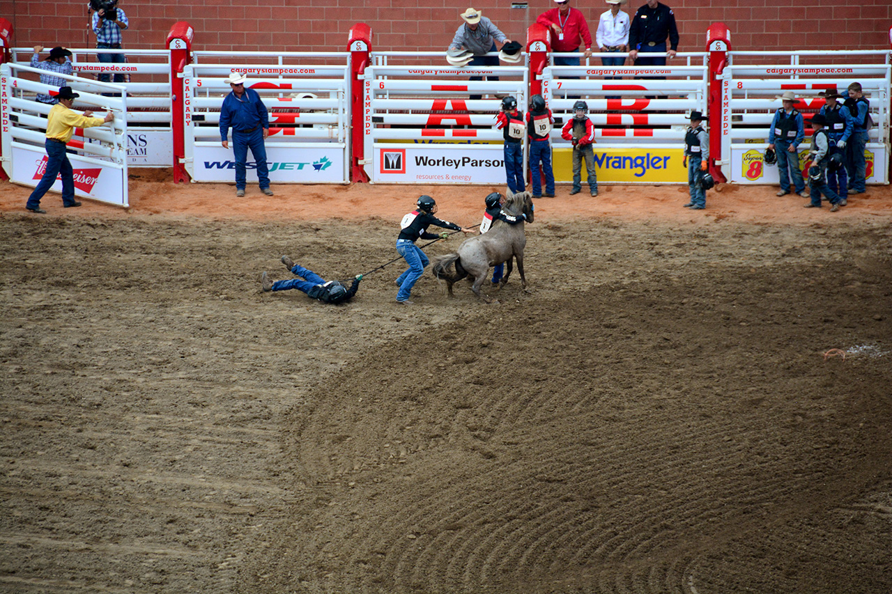 2017-07-10, 469, Calgary Stampede, AB, Youth Wild Pony