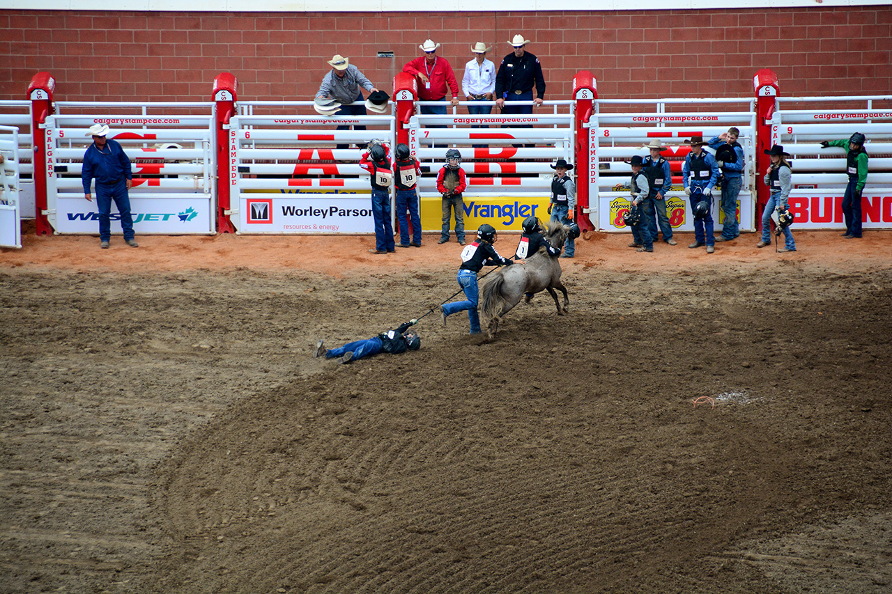 2017-07-10, 470, Calgary Stampede, AB, Youth Wild Pony
