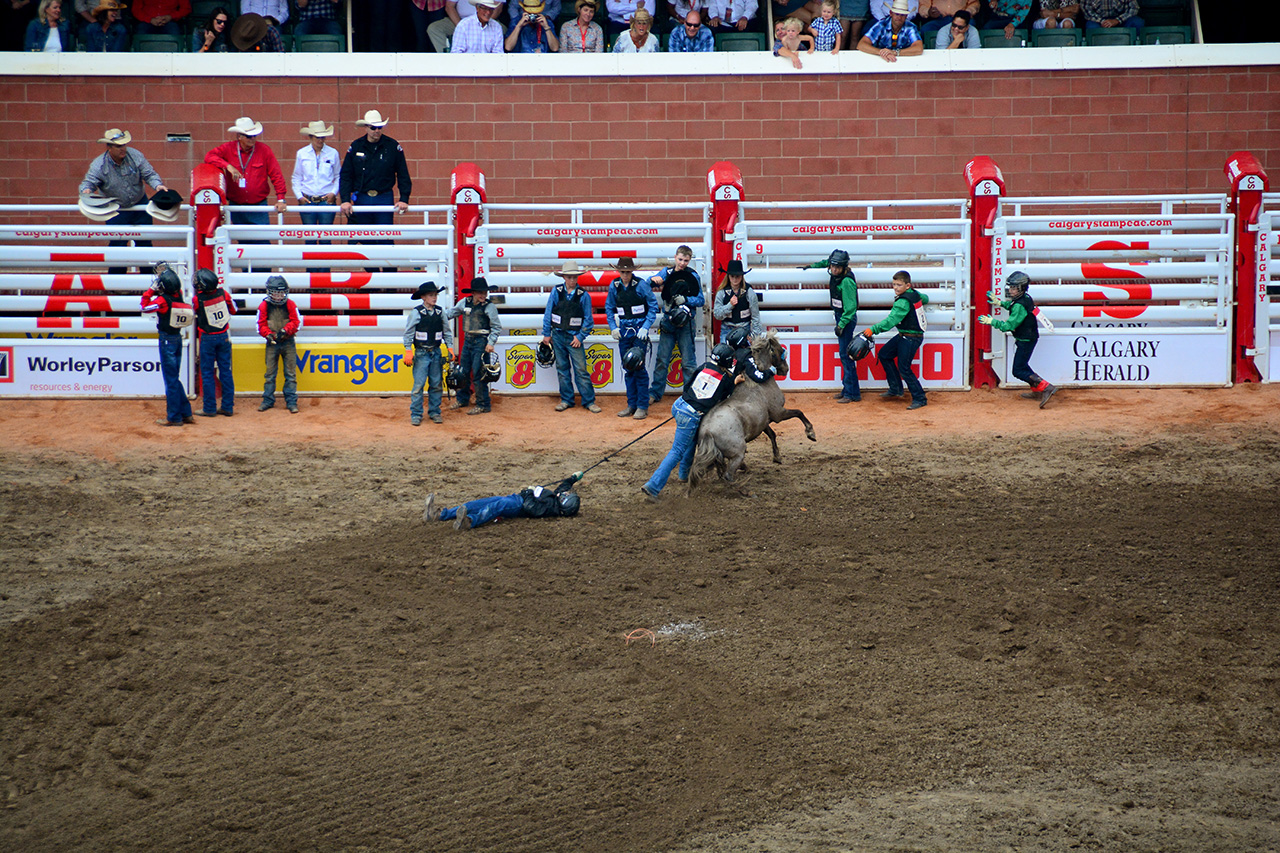 2017-07-10, 471, Calgary Stampede, AB, Youth Wild Pony