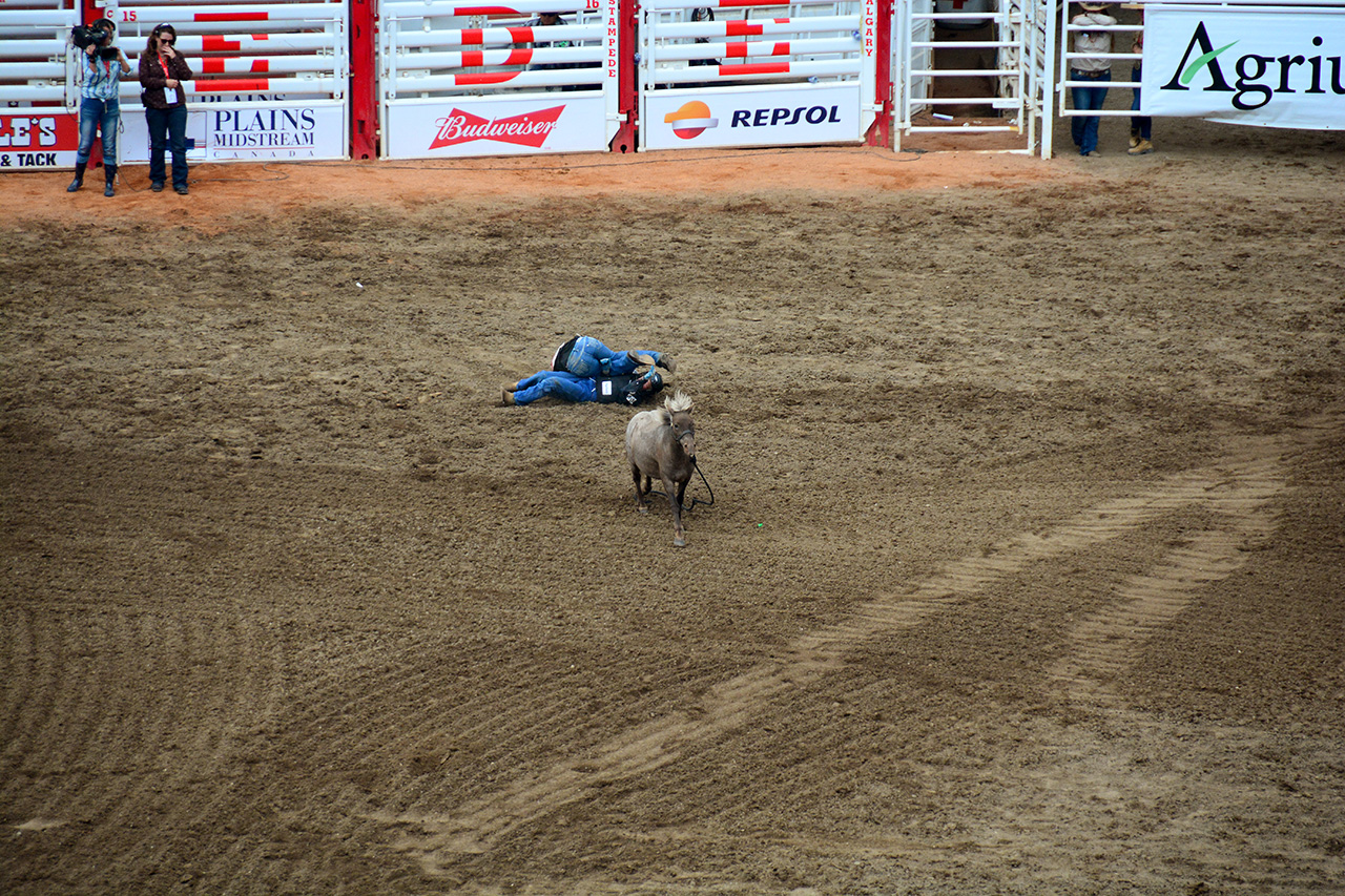 2017-07-10, 474, Calgary Stampede, AB, Youth Wild Pony