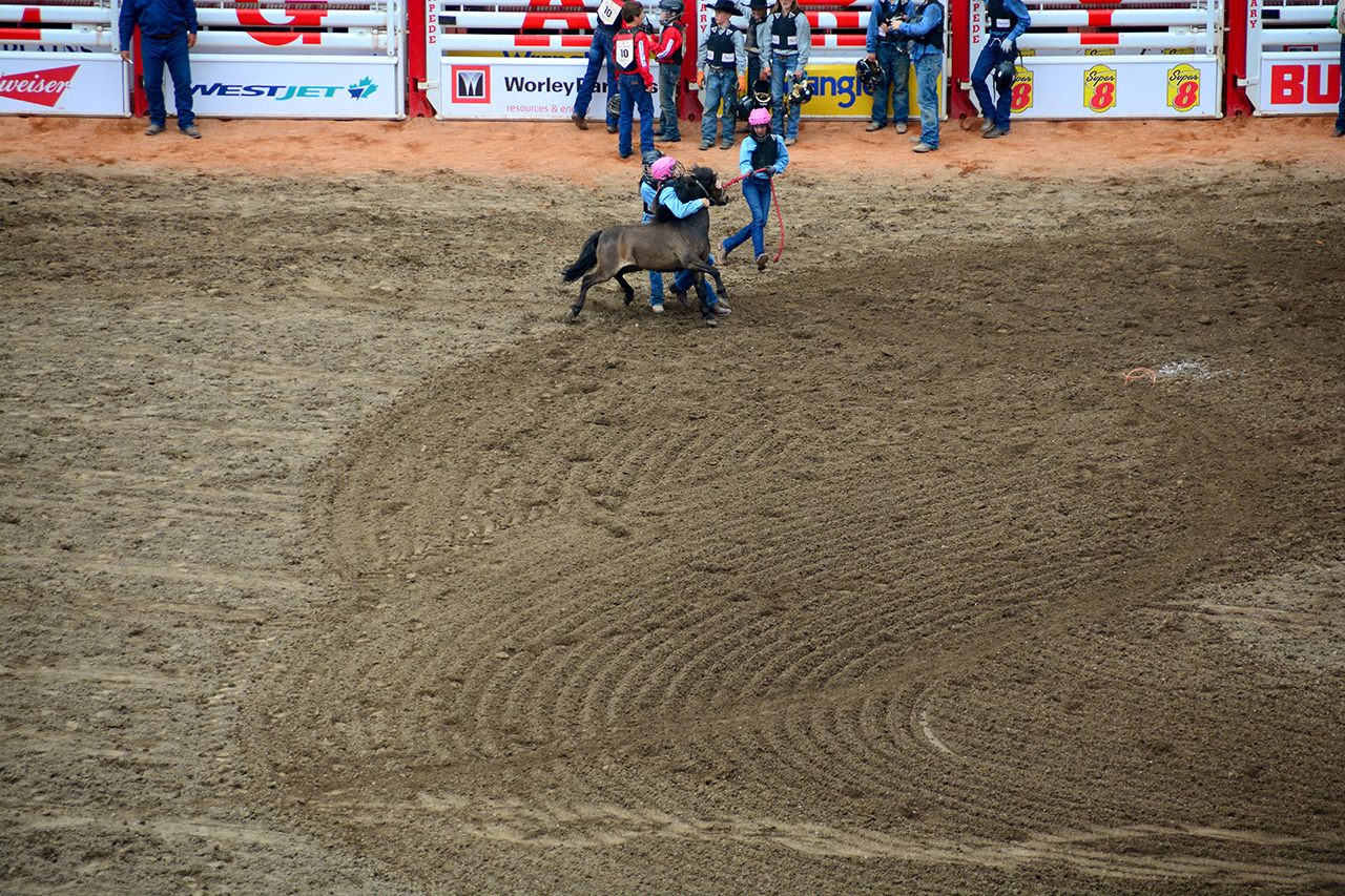 2017-07-10, 478, Calgary Stampede, AB, Youth Wild Pony