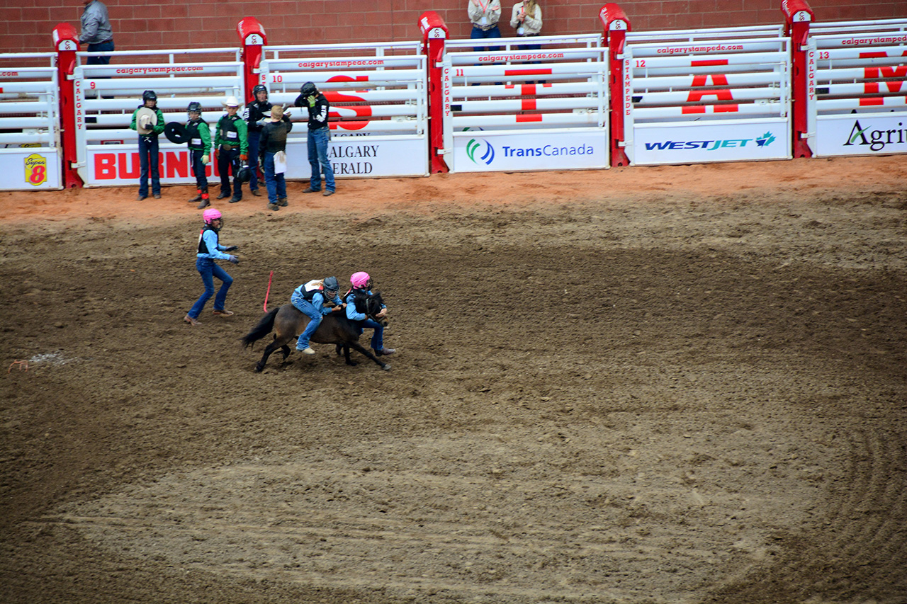 2017-07-10, 479, Calgary Stampede, AB, Youth Wild Pony