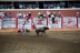 2017-07-10, 377, Calgary Stampede, AB, Bull Riding