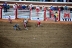 2017-07-10, 383, Calgary Stampede, AB, Bull Riding
