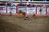 2017-07-10, 393, Calgary Stampede, AB, Bull Riding