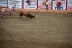 2017-07-10, 397, Calgary Stampede, AB, Bull Riding