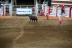 2017-07-10, 432, Calgary Stampede, AB, Bull Riding