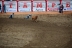 2017-07-10, 444, Calgary Stampede, AB, Youth Wild Pony